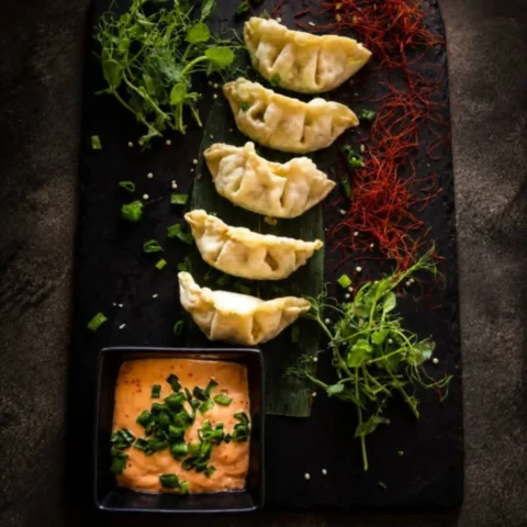 Pierożki gyoza z farszem z kurczaka (5 szt.)